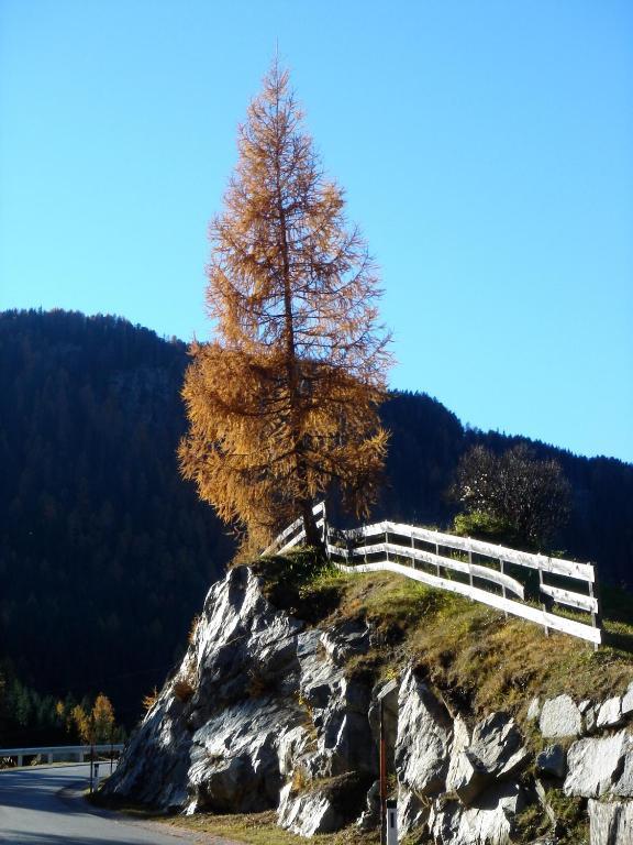 Alpengasthof Zollwirt Sankt Jakob in Defereggen Bagian luar foto