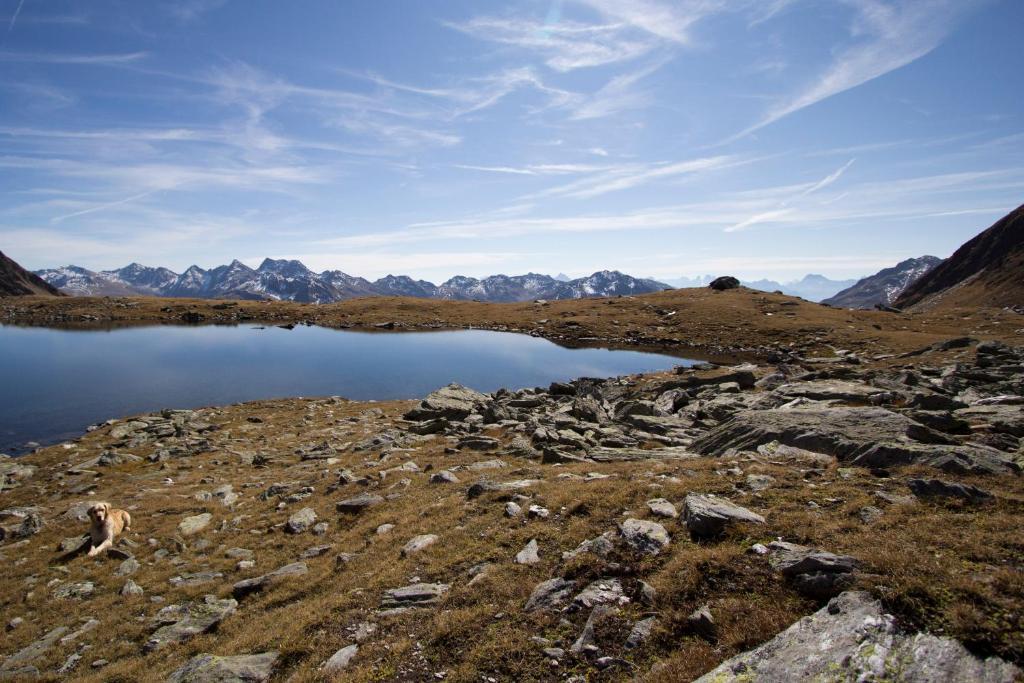 Alpengasthof Zollwirt Sankt Jakob in Defereggen Bagian luar foto